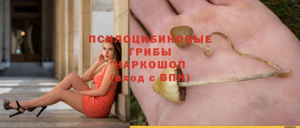 молекула духа Верея