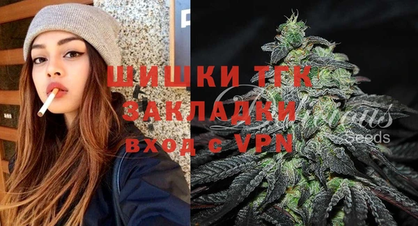 гидропоника Бородино
