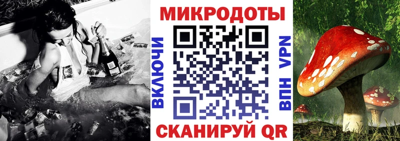 закладки  Кирово-Чепецк  мориарти состав  Галлюциногенные грибы Cubensis 